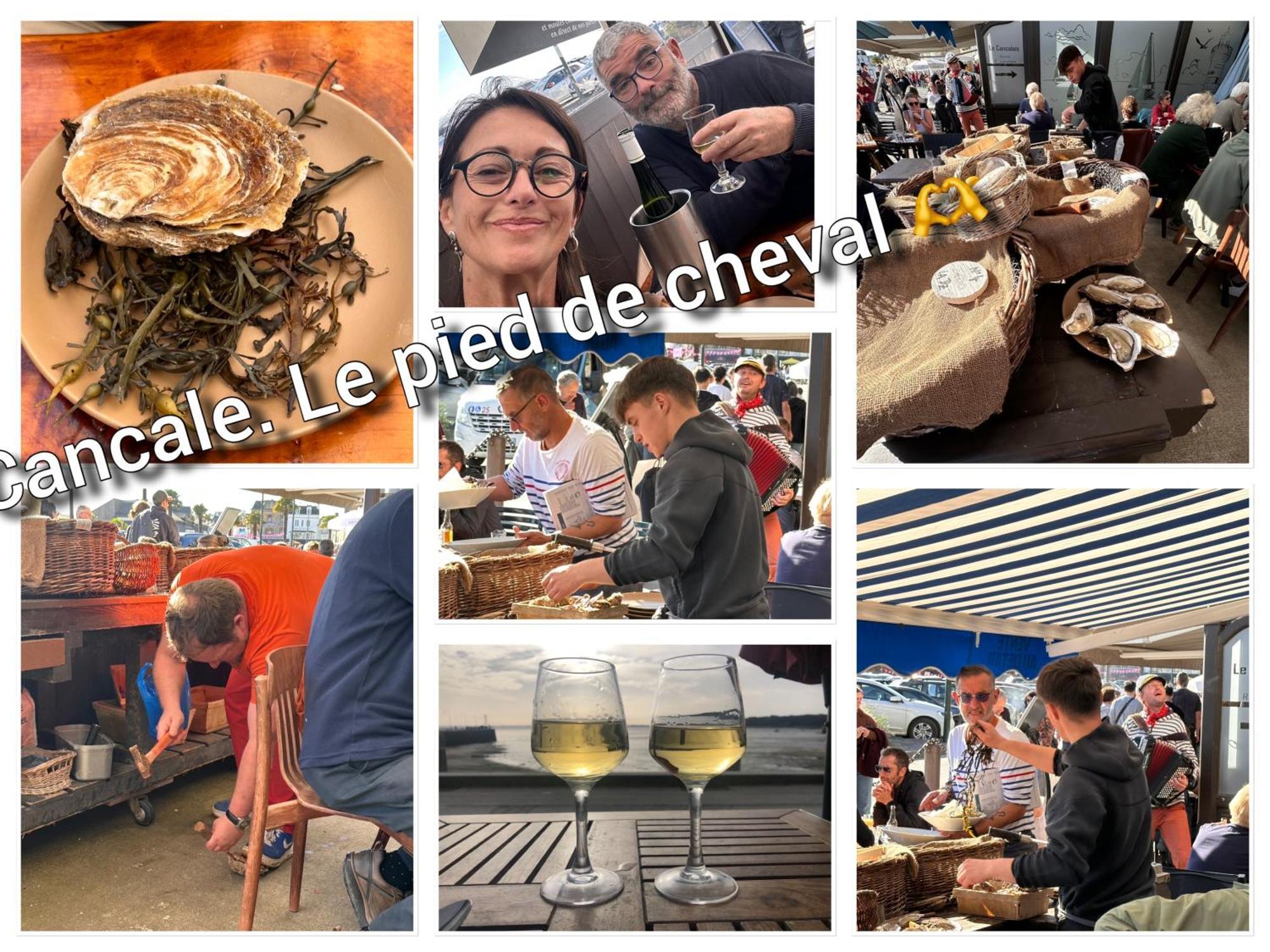 Les Libellules Διαμέρισμα Lanvallay Εξωτερικό φωτογραφία